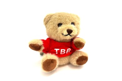 TEDDY