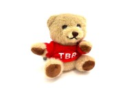 TEDDY