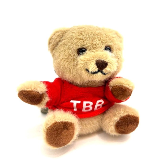 TEDDY